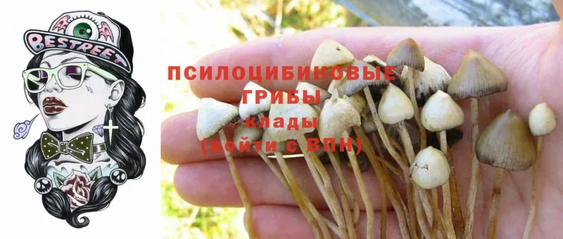 Галлюциногенные грибы Magic Shrooms  как найти закладки  Белинский 